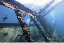 Photo Reference of Umbria Wingate Reef - Sudan